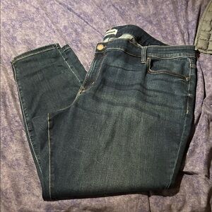 Lane Bryant Dark Blue Skinny Jeans